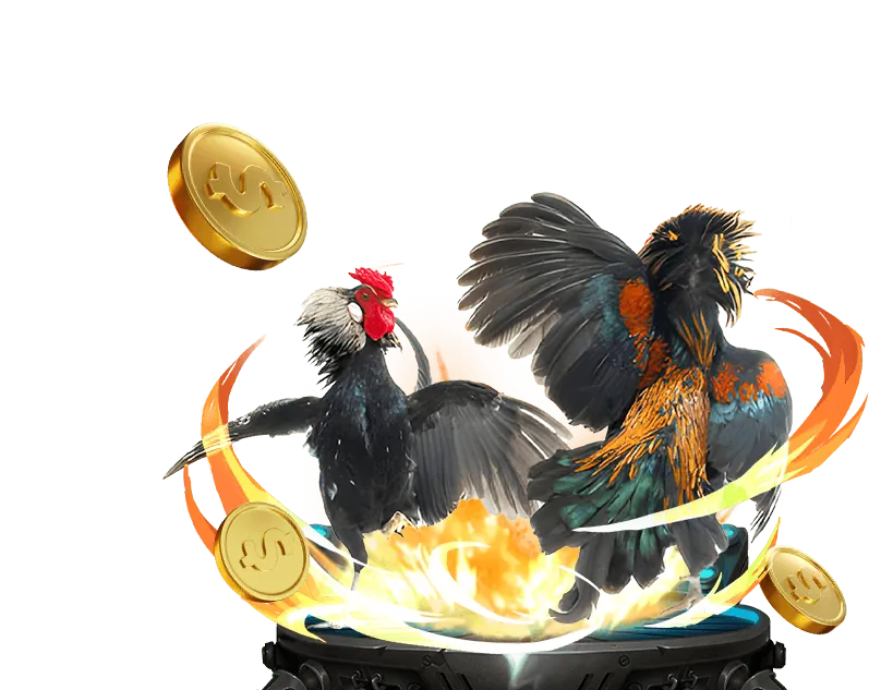 Nạp Rút Siêu Tốc